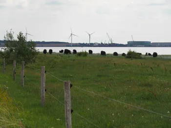 Halshuisene + Enebaerodde Beach (Denemarken)